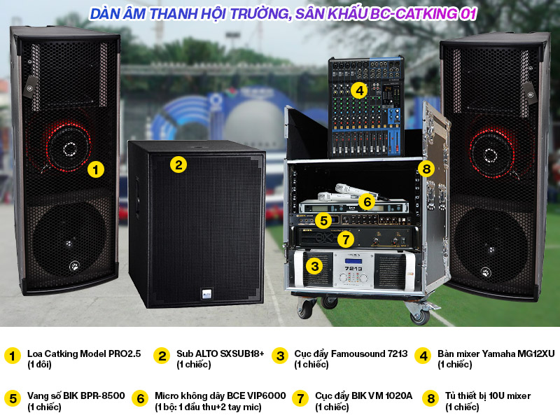 Dàn âm thanh hội trường CatKing 01