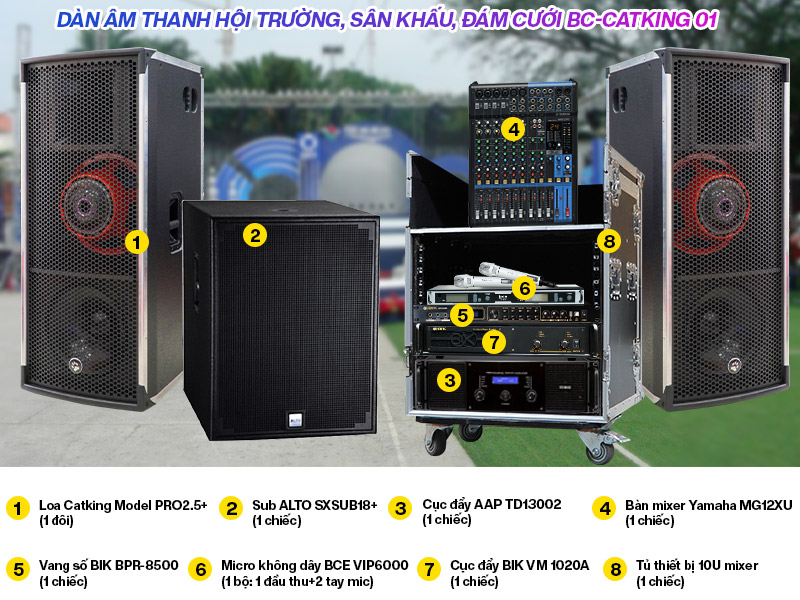 D&agrave;n &acirc;m thanh hội trường CatKing 01