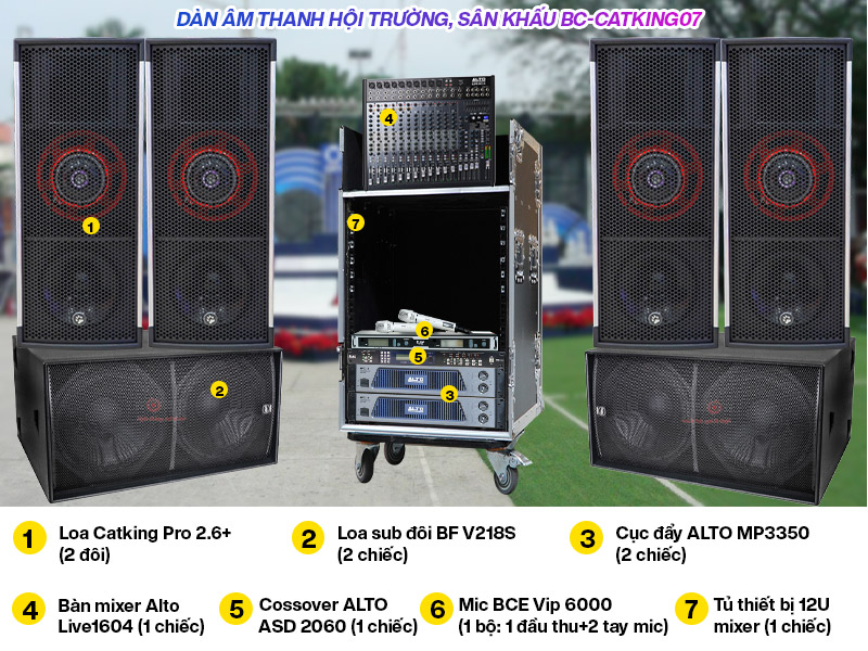 D&agrave;n &acirc;m thanh hội trường BC-CatKing 07