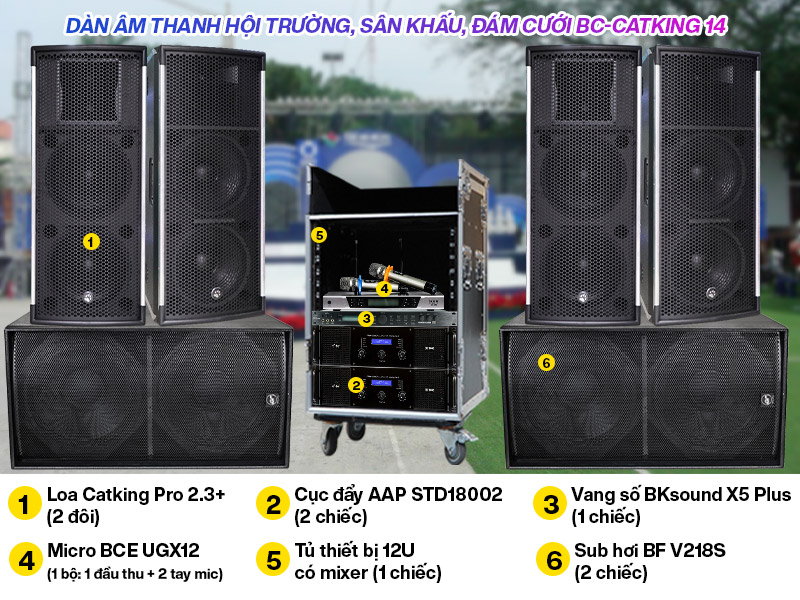 Dàn âm thanh hội trường sân khấu, đám cưới BC-Catking 14