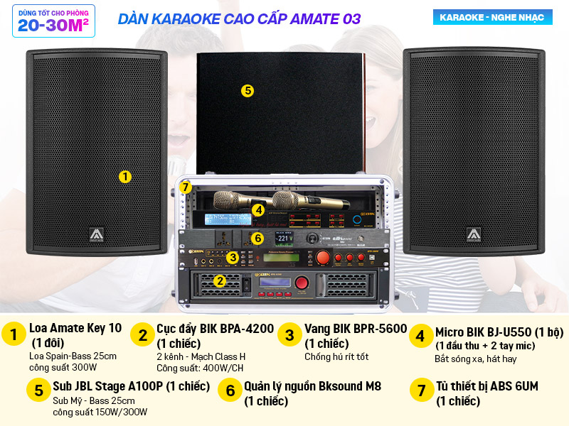 D&agrave;n karaoke cao cấp Amate 03