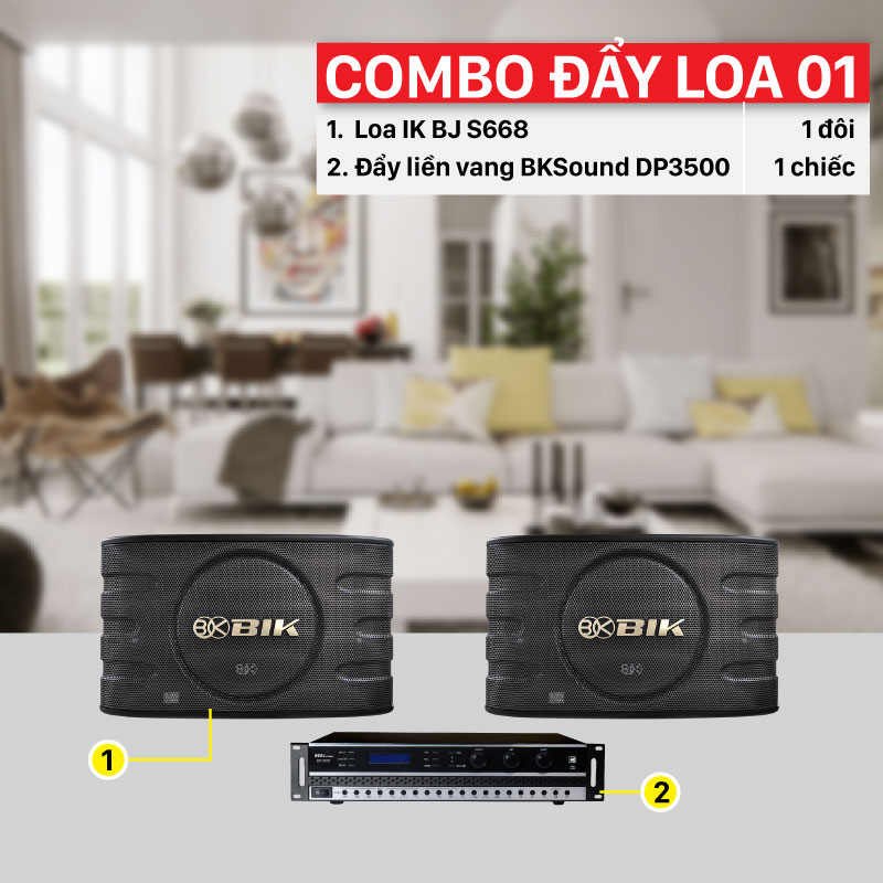 Combo đẩy loa 01 thiết bị chính hãng, giá rẻ nhất thị trường 
