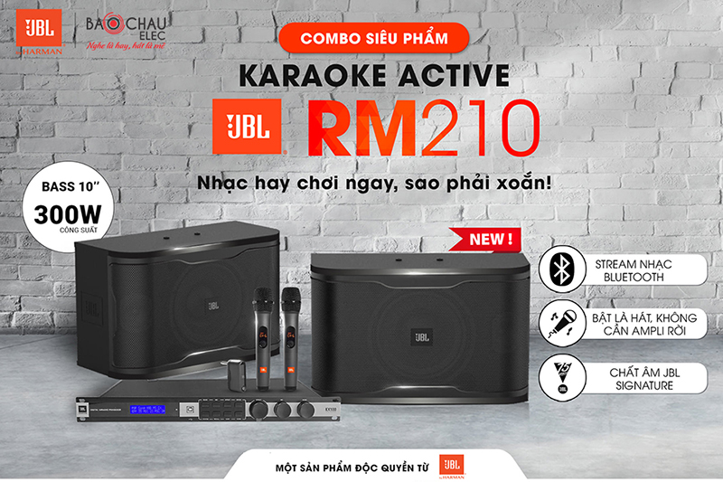 Combo karaoke Active JBL RM210 (New 2021)