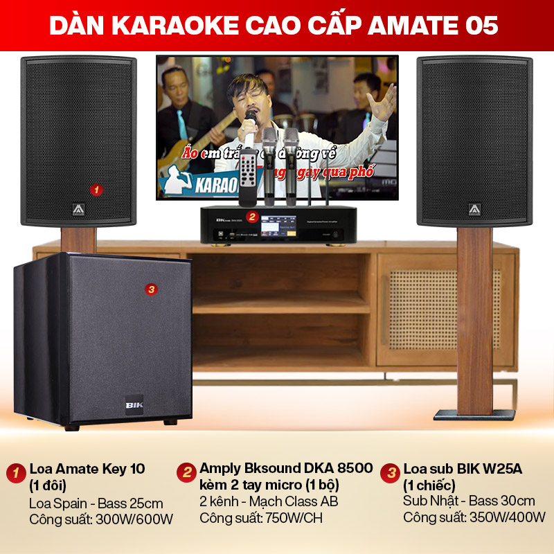 D&agrave;n karaoke cao cấp Amate 05