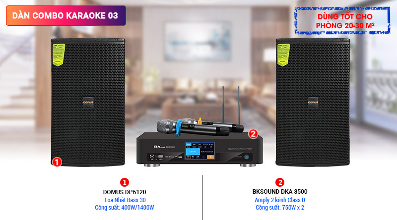 D&agrave;n karaoke 03 (Domus DP6120 + BKsound DKA 8500)