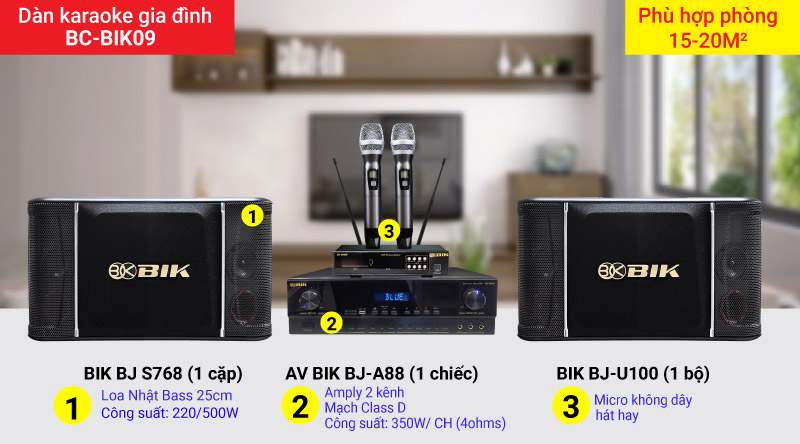 Cấu h&igrave;nh d&agrave;n karaoke gia đ&igrave;nh BC-BIK 09