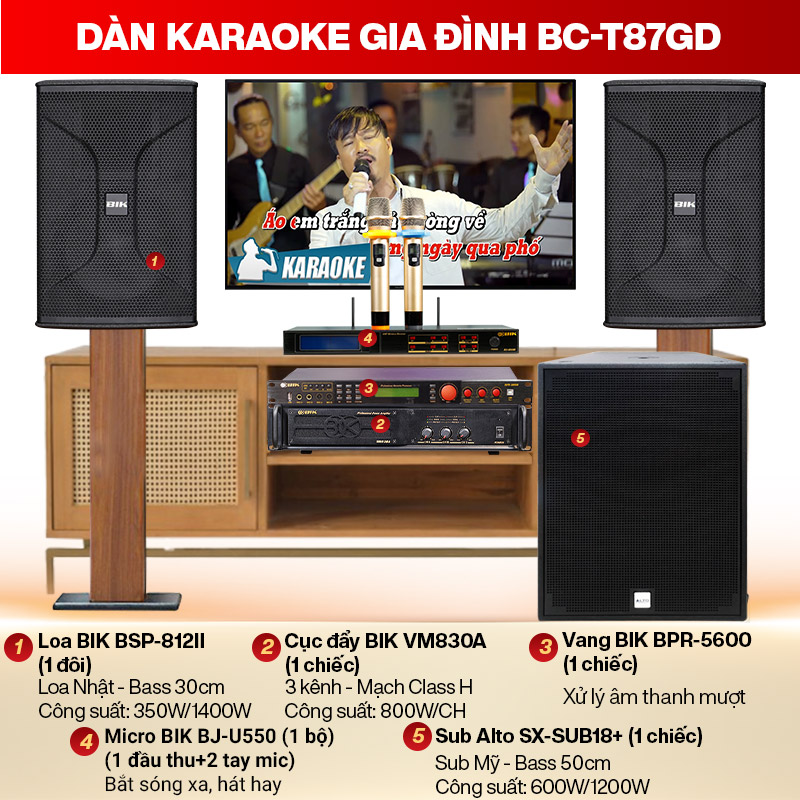d&agrave;n karaoke gia đ&igrave;nh BC-T87GD