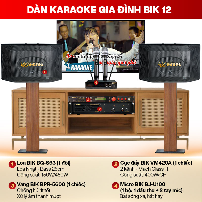 d&agrave;n karaoke gia đ&igrave;nh BIK 12