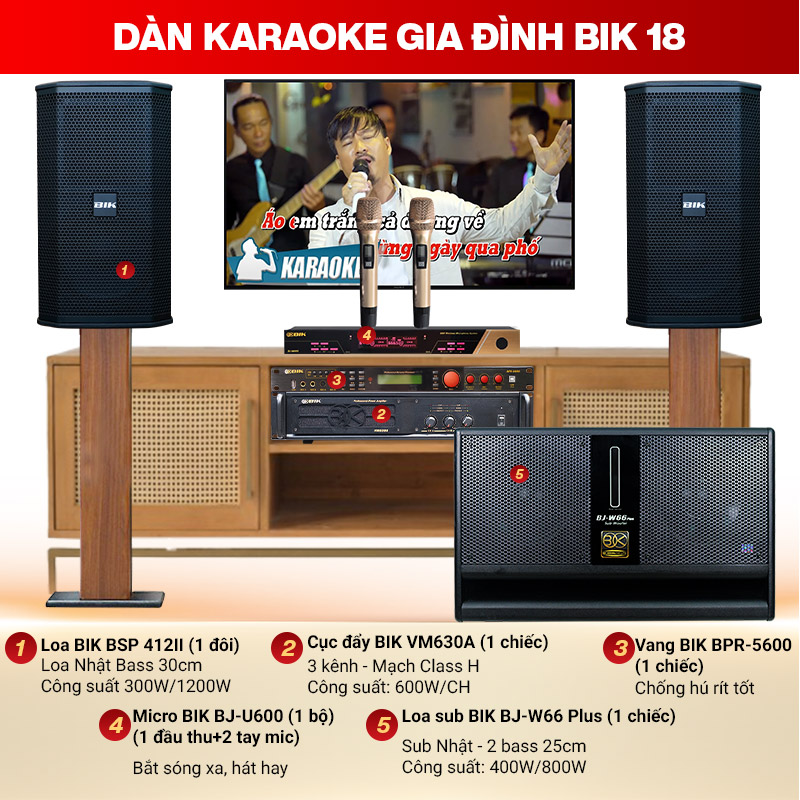 d&agrave;n karaoke gia đ&igrave;nh BIK 18