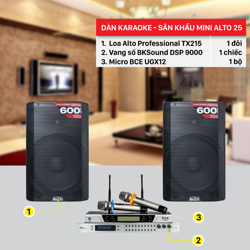 Dàn karaoke gia đình, sân khấu mini giá rẻ