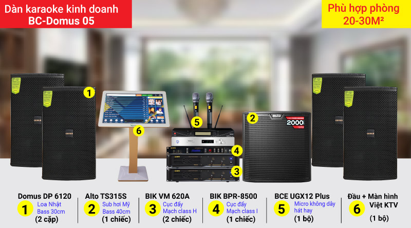 D&agrave;n karaoke cao cấp BC-Domus 05