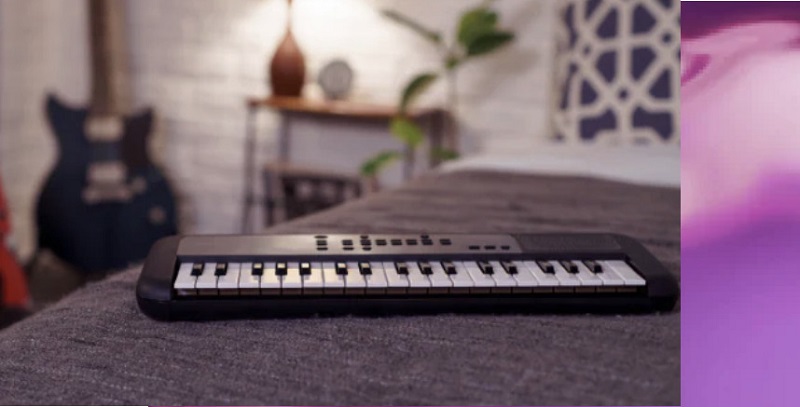 Đ&agrave;n organ Yamaha PSS-A50