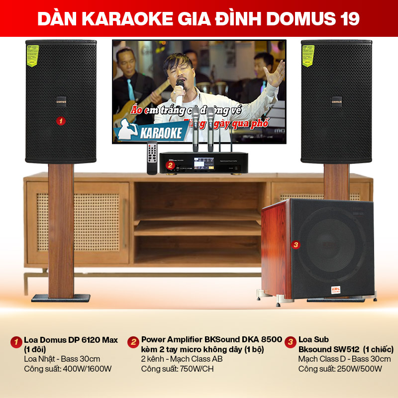 D&agrave;n karaoke gia đ&igrave;nh Domus 19 
