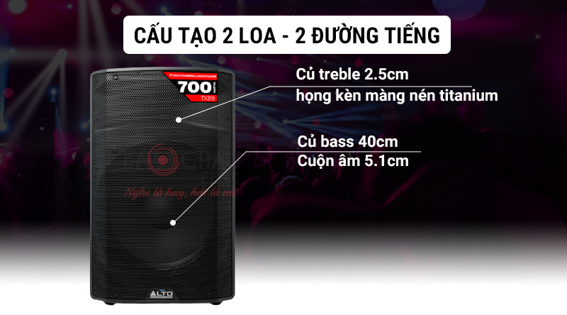 Loa karaoke Alto TX315