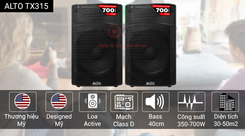 Loa karaoke Alto TX315
