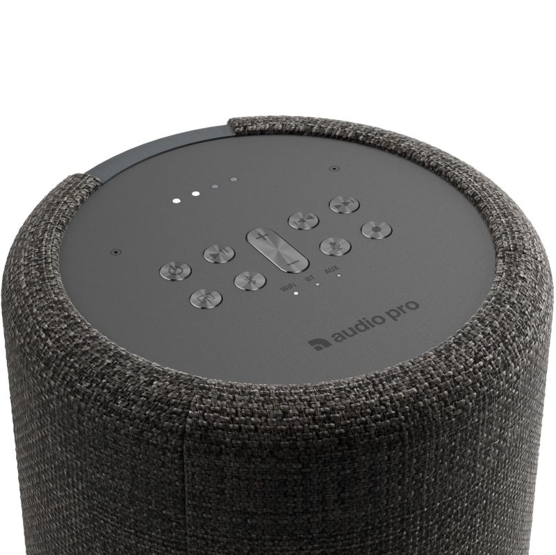 Loa Audio Pro G10