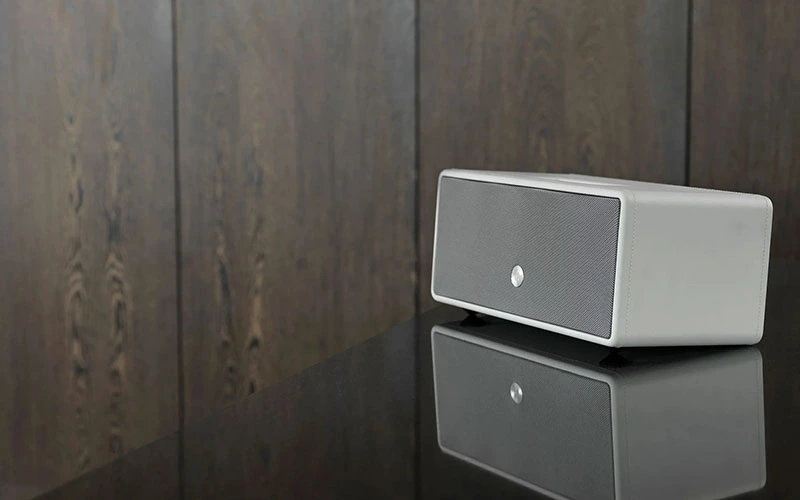 Loa Audio Pro D-2