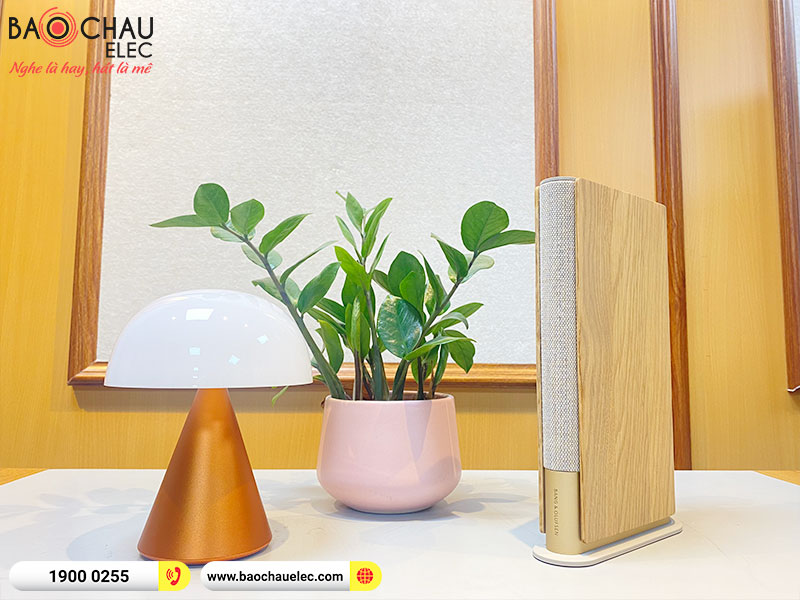 loa b&o beosound emerge