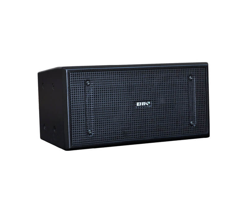 Loa BIK BTX-5W