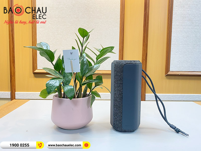 Loa Sony SRS-XE200