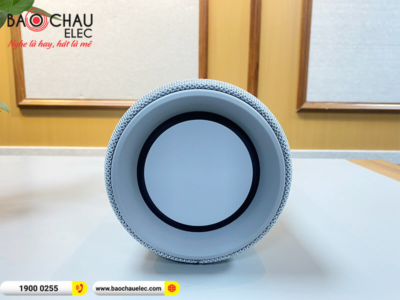 Loa Sony SRS-XG300