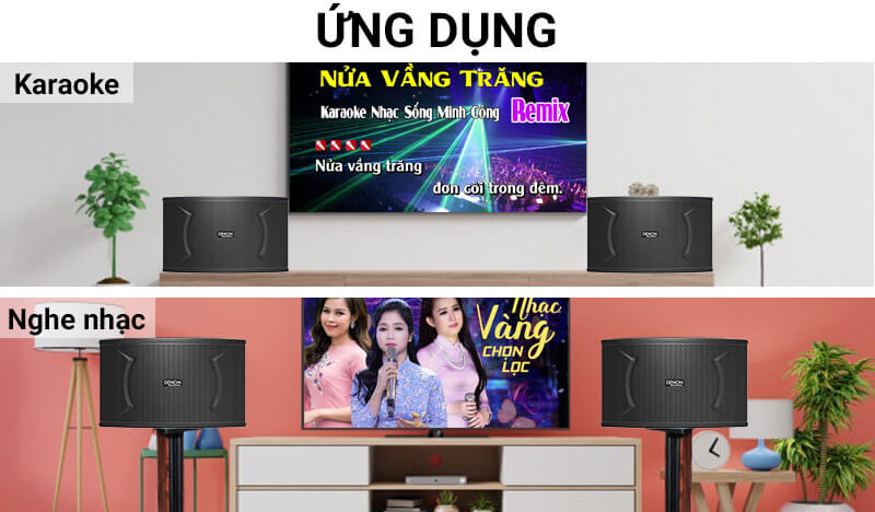 Loa Denon DP-C10