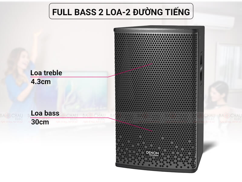 Loa Denon DP-R212