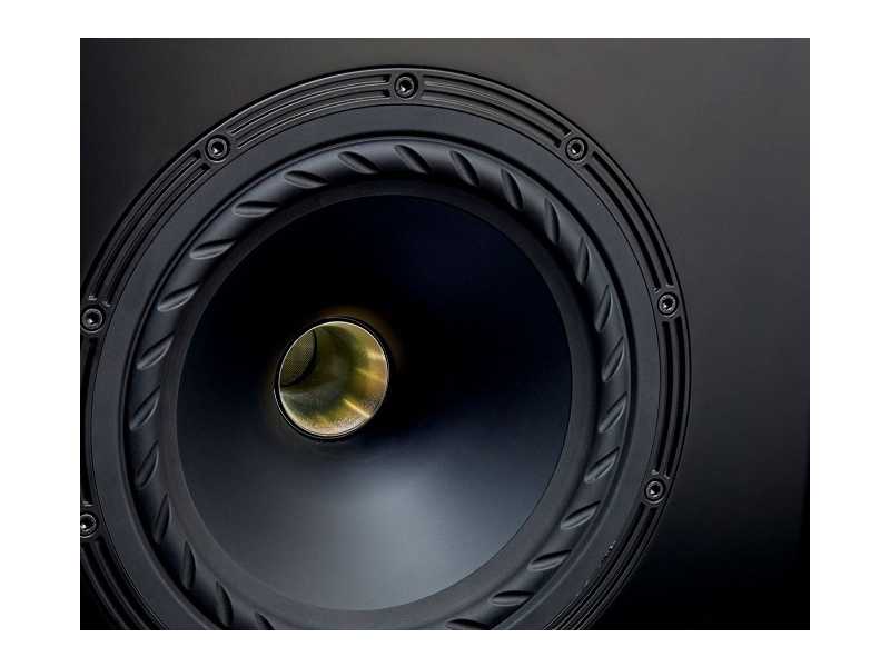 Loa Fyne Audio F501SP
