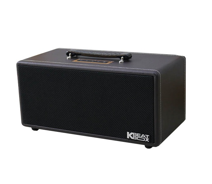 Loa x&aacute;ch tay karaoke Acnos KS362D