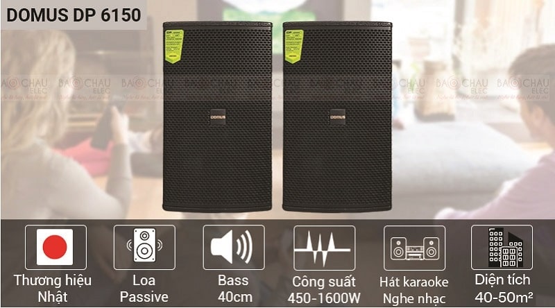 loa Domus DP6150