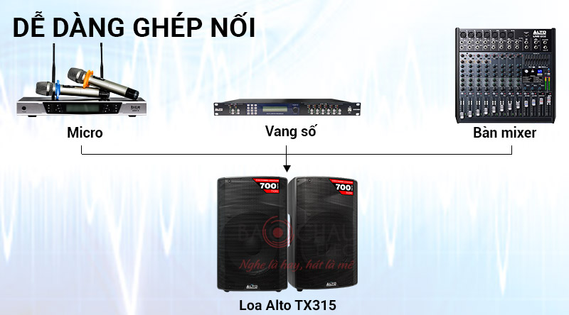 Loa Alto TX315 (active, bass 40cm)