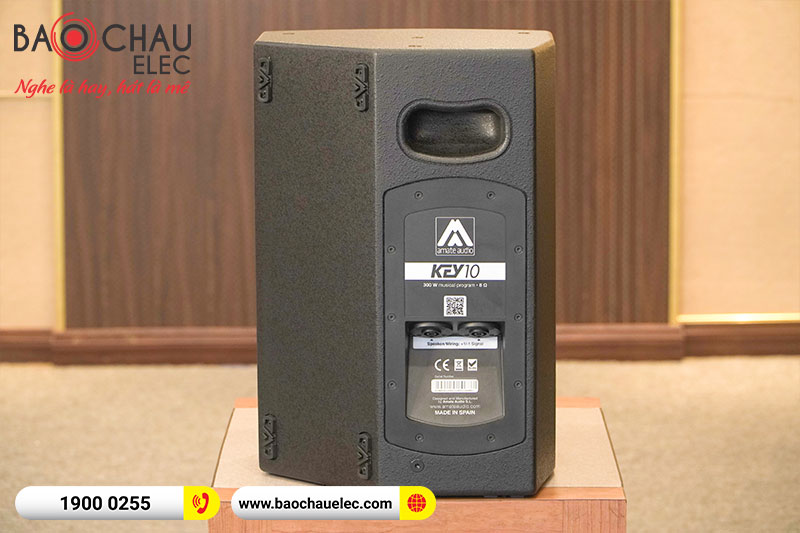 Loa Amate Audio Key 10