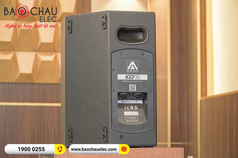 Loa Amate Audio Key 10