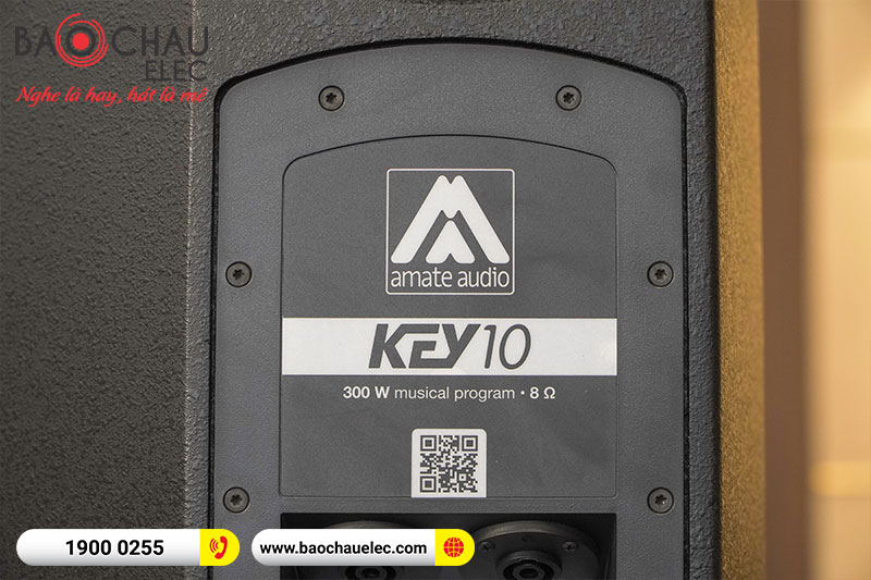 Loa Amate Audio Key 10