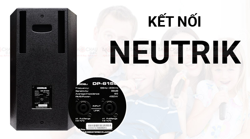 Loa karaoke Domus DP 6150