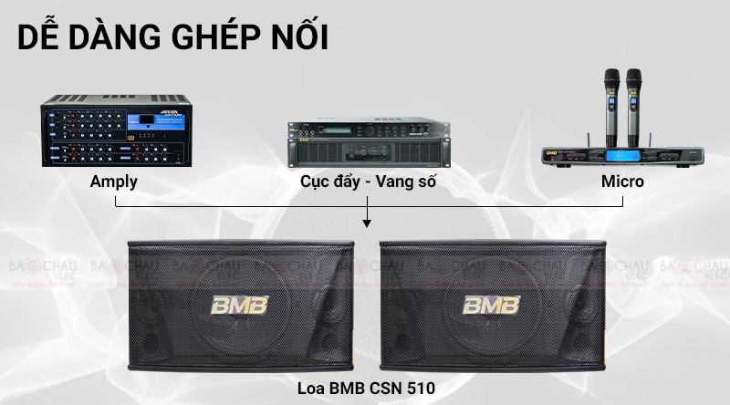 Loa BMB CSN 510