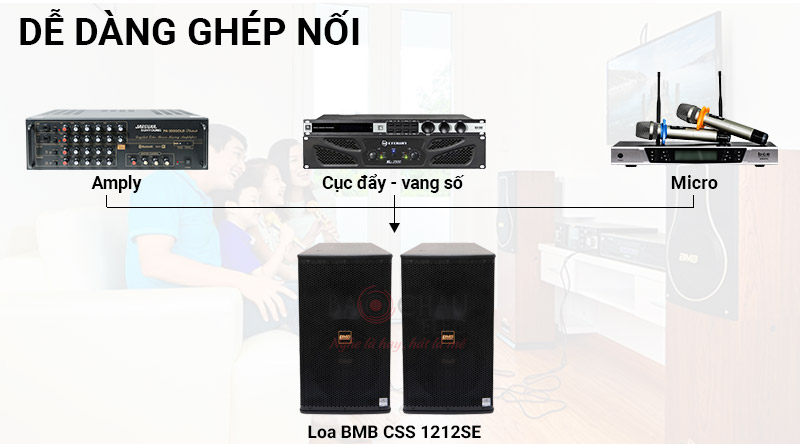 Loa BMB CSS 1212SE (Pro)