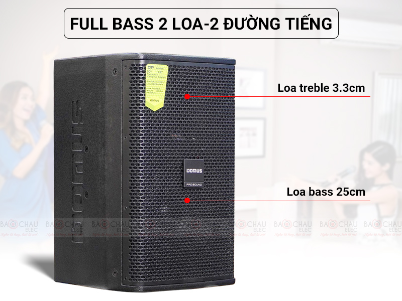 Loa karaoke Domus DP6100 MAX