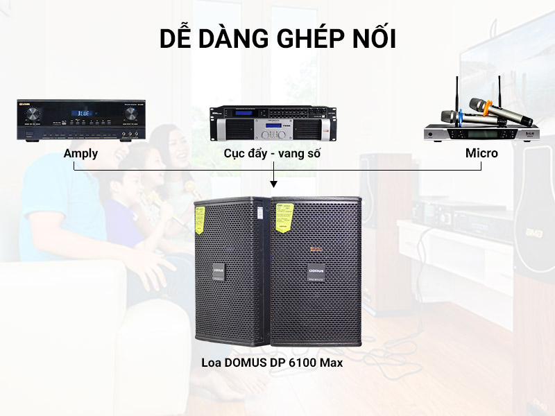 Loa karaoke Domus DP6100 MAX