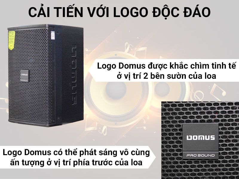 Loa Domus DP6100 Max