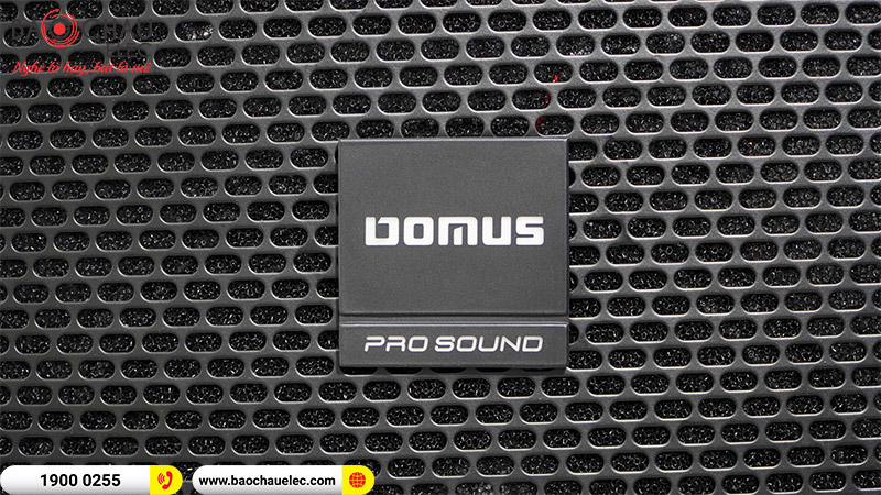 Loa karaoke Domus DP6100 MAX