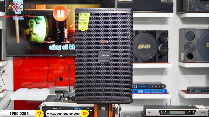 Loa karaoke Domus DP6100 MAX