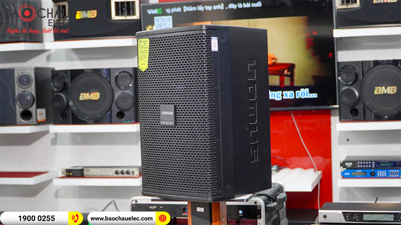 Loa karaoke Domus DP6100 MAX