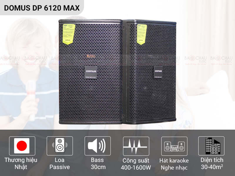 Loa Domus DP6012 Max