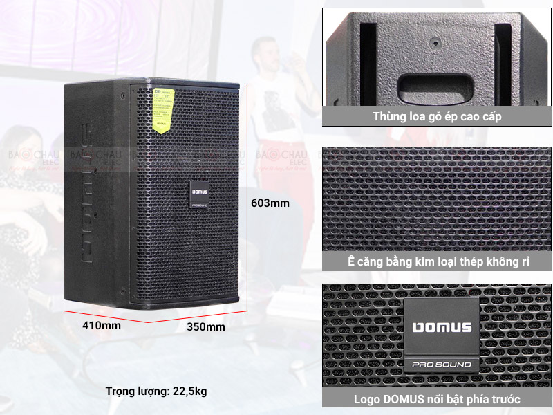 Loa karaoke Domus DP6100 MAX (Full bass 25cm - New 2022)