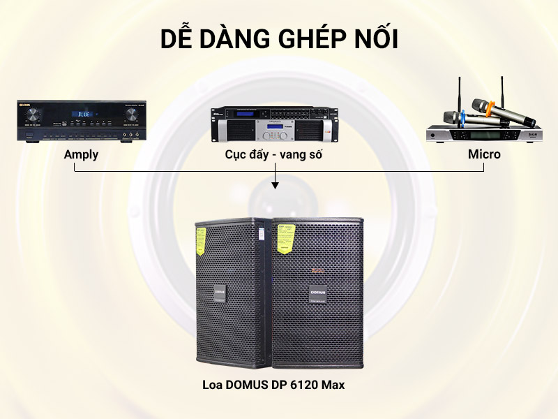 Loa karaoke Domus DP6120 MAX