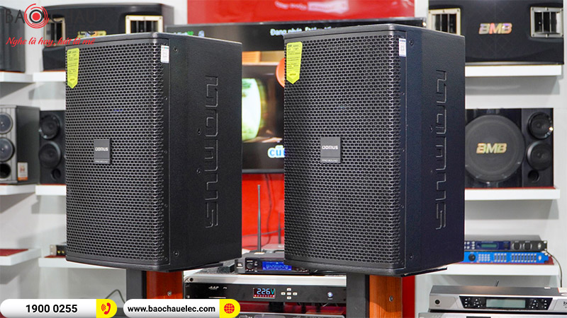 Loa karaoke Domus DP6120 MAX