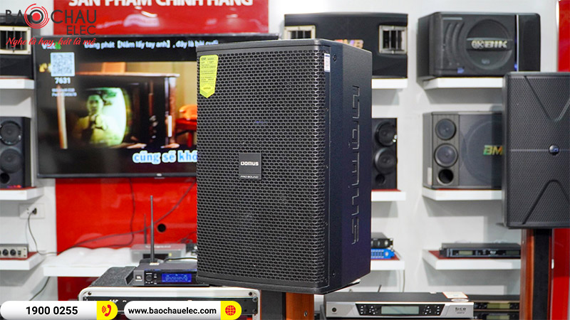 Loa karaoke Domus DP6120 MAX
