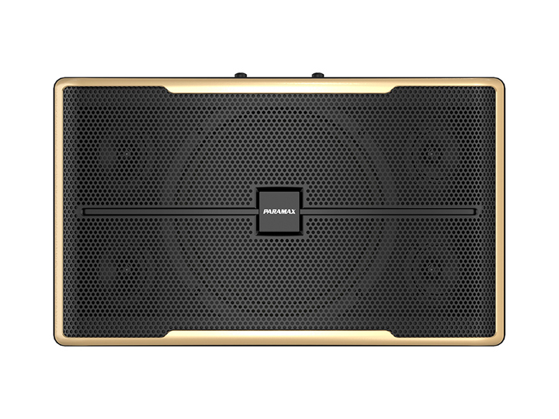 Loa karaoke Paramax Z-2500
