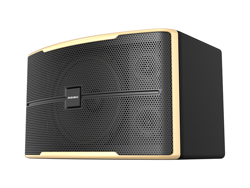 Loa karaoke Paramax Z-2500